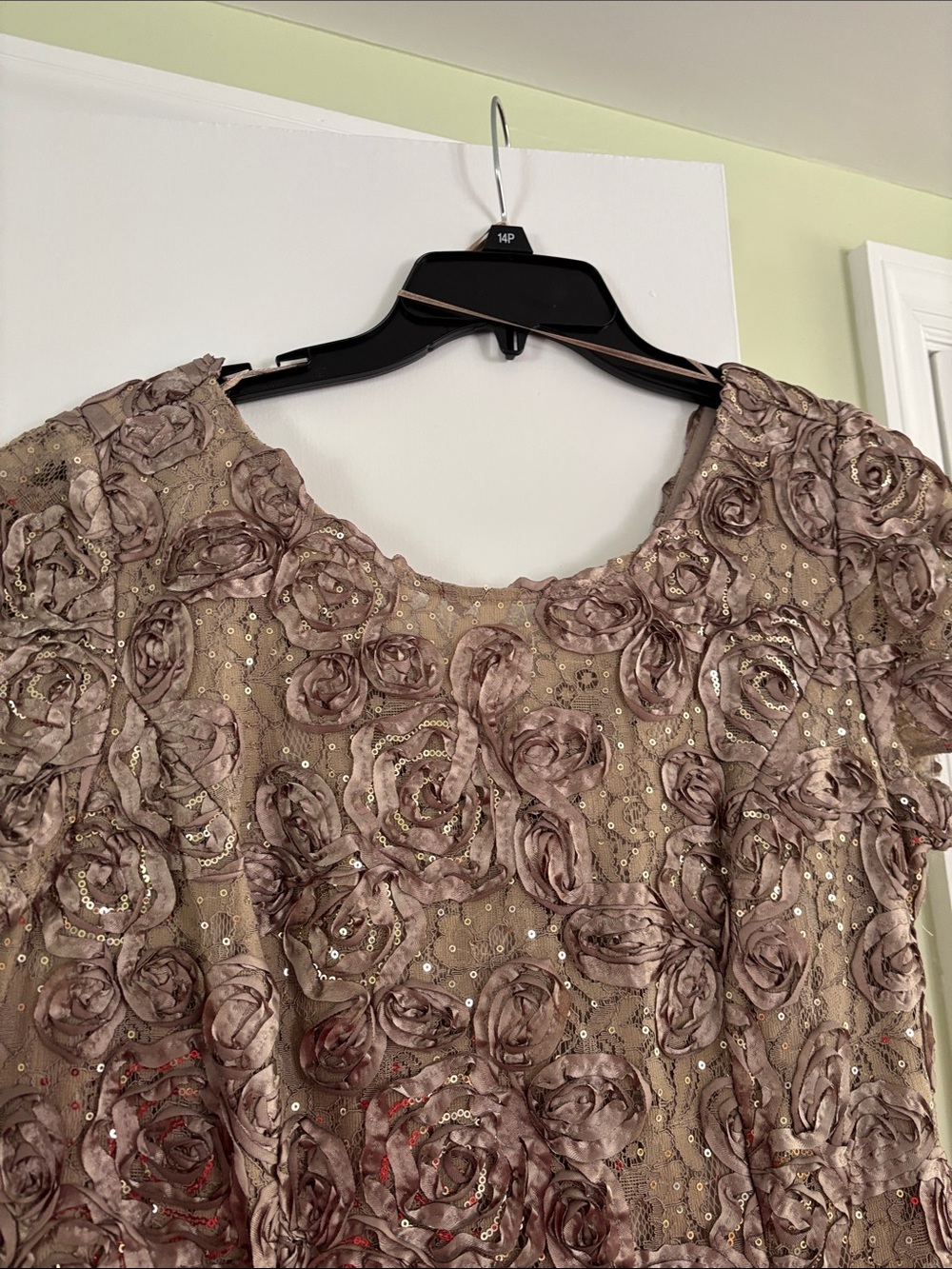 Alex Evenings Taupe Floral Embellished Evening Gown - Picture 3 of 7